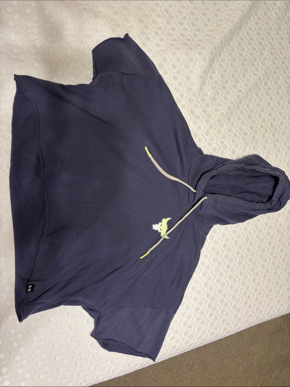 Iron Paradise Graphic Sweatshirt - Purple with Yellow Logo